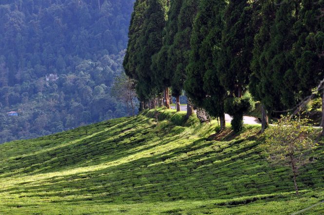 Sikkim