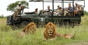 Ultimate Kruger Safari