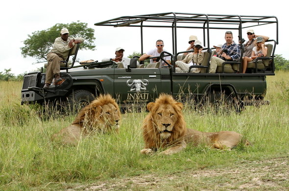 Kruger National Park - Wildlife Safaris in South Africa