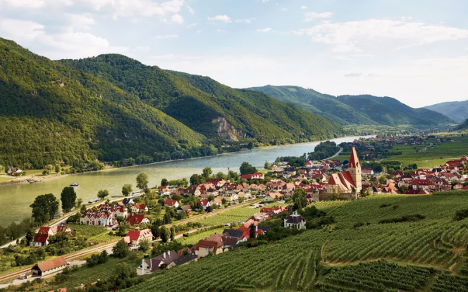 Wine Regions- Things to do in Austria