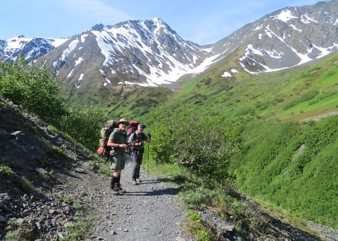Denali National Park- Alaska adventure 