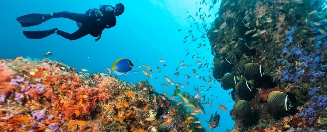 Scuba diving - things to do in Andaman