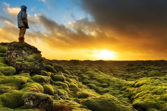 Eldraun’s Mossy Volcanic Terrain-things to do in Iceland