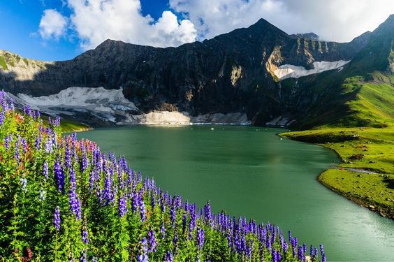 100 Kashmir Images That Will Make You Fall In Love With This Place Thomas Cook Blog