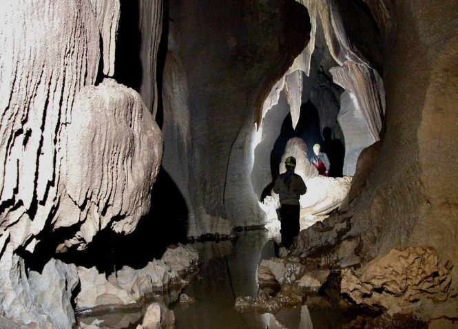 LimeStone Cave-Living Root Bridges
