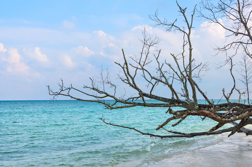 Beach hoping-Havelock Island 