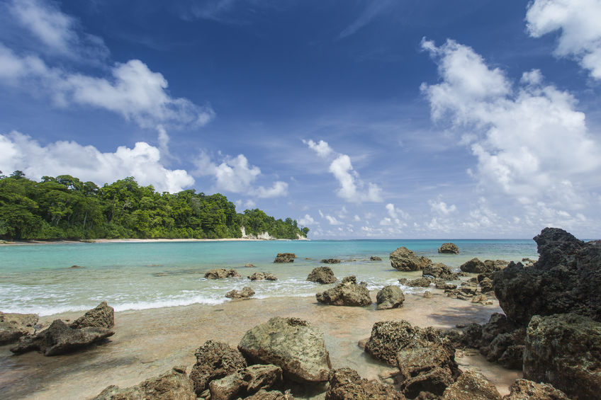 Havelock Island 