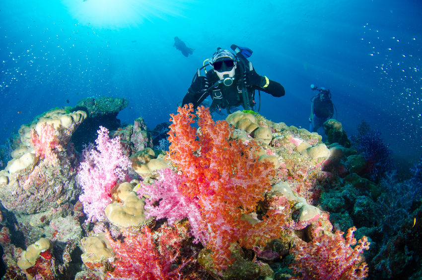 Scuba Diving-Havelock Island 