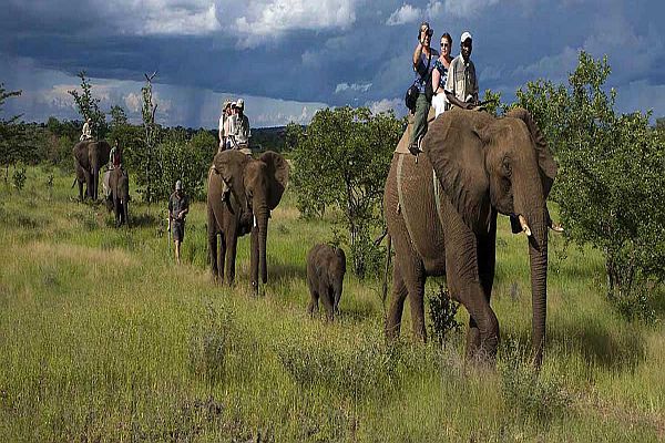  Elephant Safari-Jim Corbett National