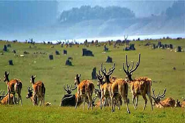 Jim Corbett National