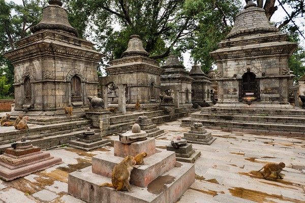 Premises of Pashupatinath Temple