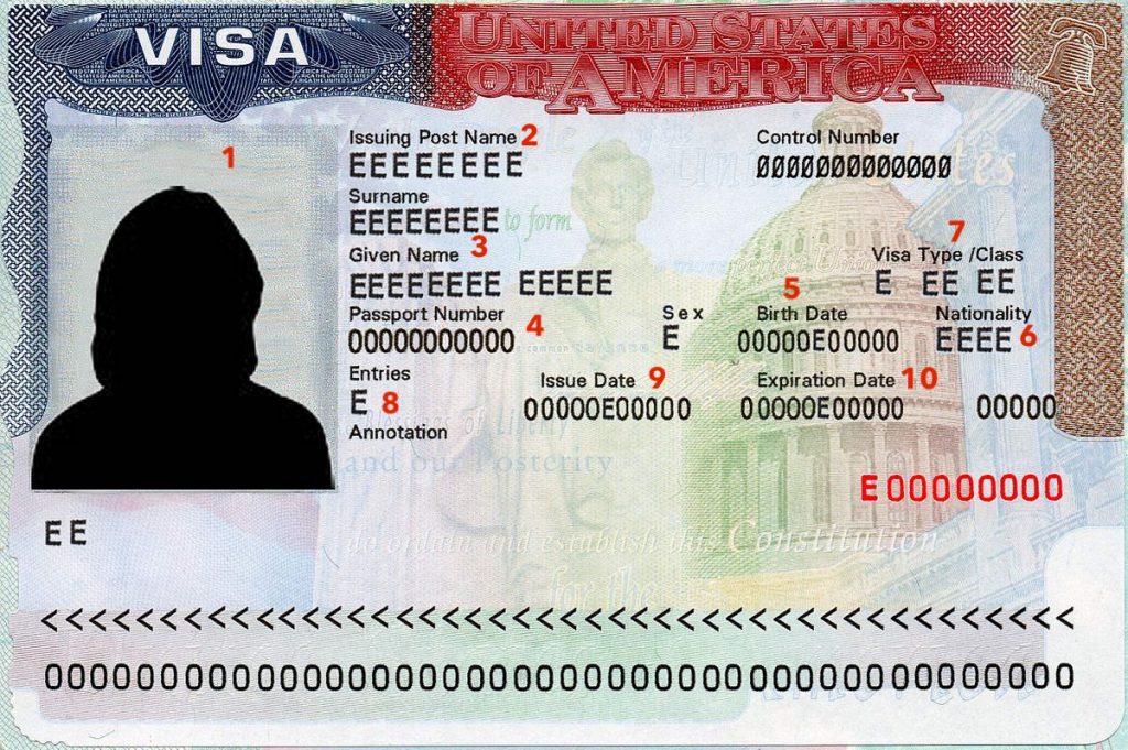 how to check my us visa number