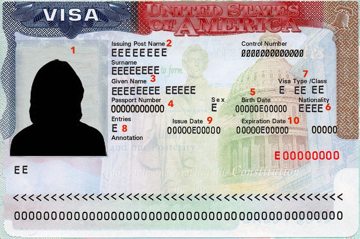 Where Is The Visa Number On The Passport - Printable Online