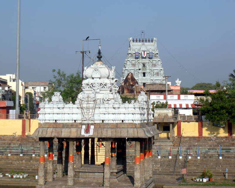 Sri Parthasarathy temple