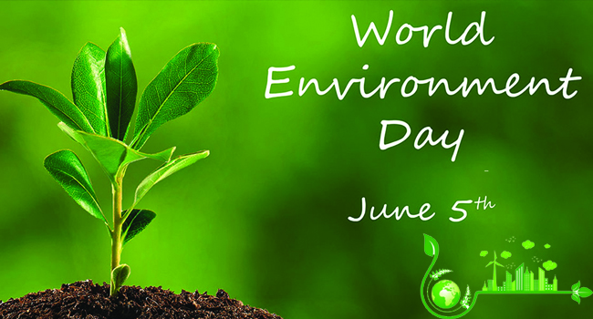 world environment day