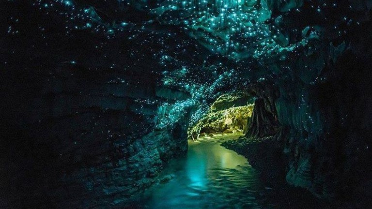 Waitomo-Glow-worm-Caves - New Zealand