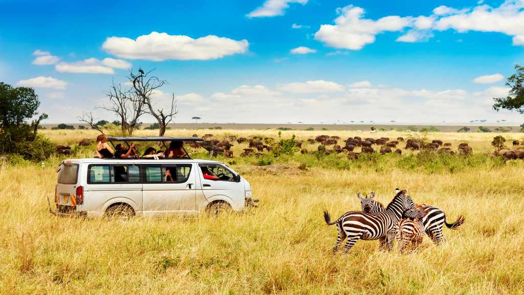 African Wildlife Safaris | Animals & Wildlife Parks