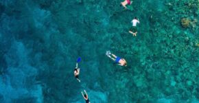Snorkelling Spots in Maldives