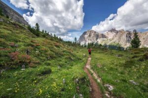 Valley of Flowers Trek, Uttarakhand