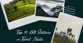 Top 10 Best Hill Station in Tamil Nadu